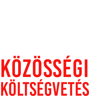 Közösségi költségvetés